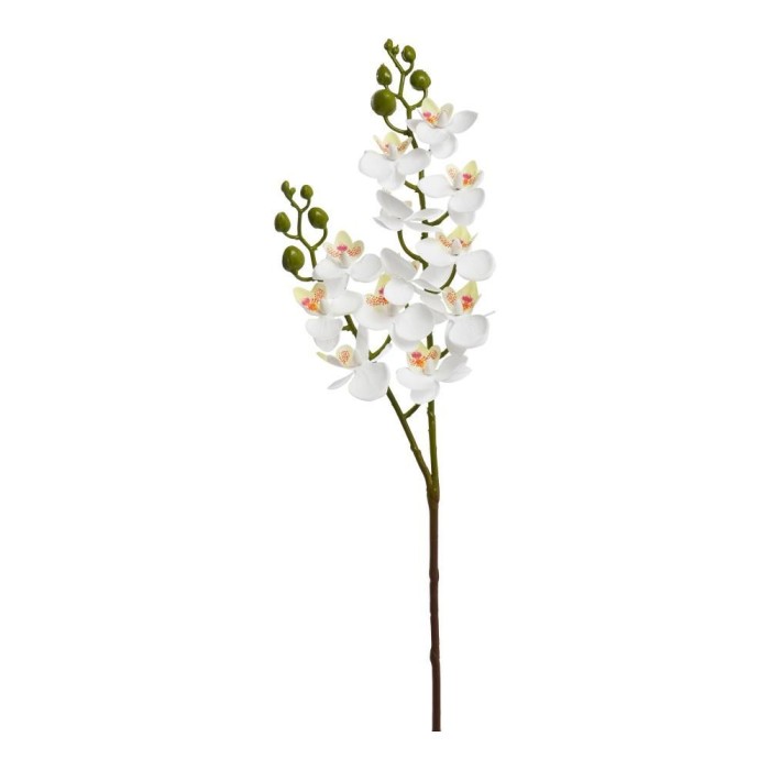 MINI PHALENO X 2 CREMA